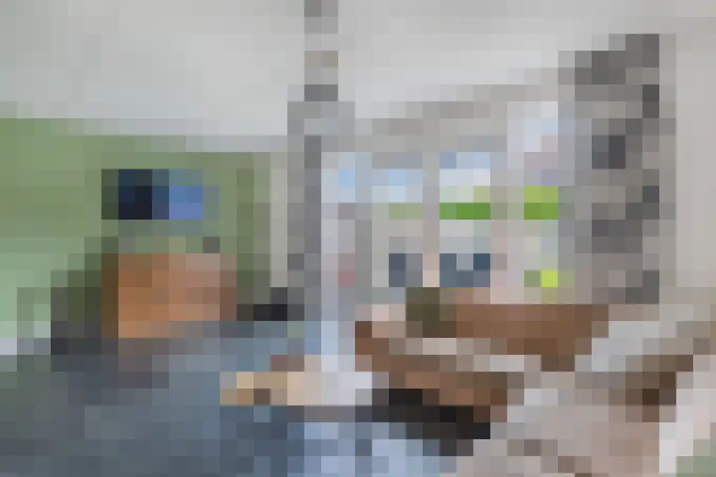 Wijnvat 10 Dronten thumbnail 18