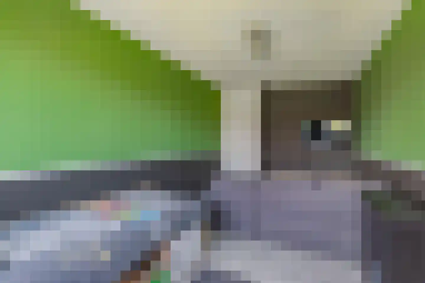Wijnvat 10 Dronten thumbnail 39