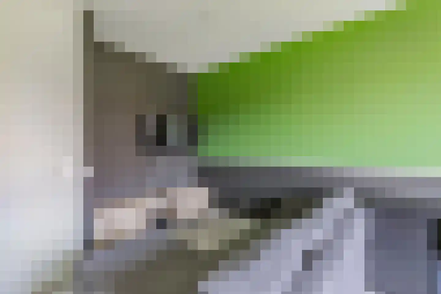 Wijnvat 10 Dronten thumbnail 40