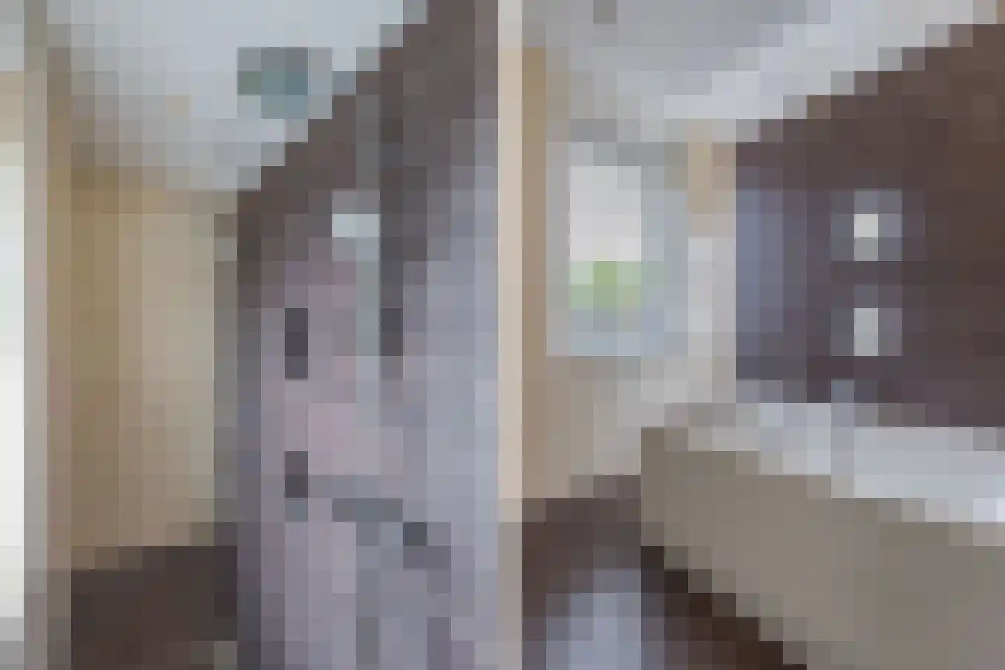 Wijnvat 10 Dronten thumbnail 44