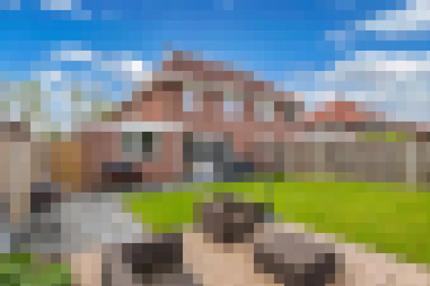 Wijnvat 10 Dronten thumbnail 56