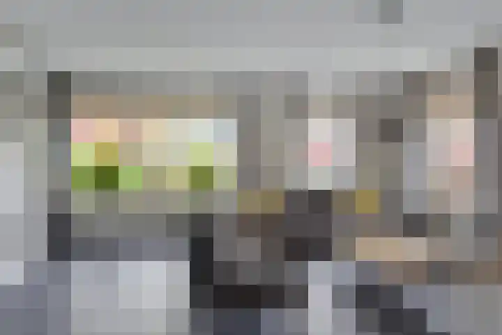 Wijnvat 12 Dronten thumbnail 13