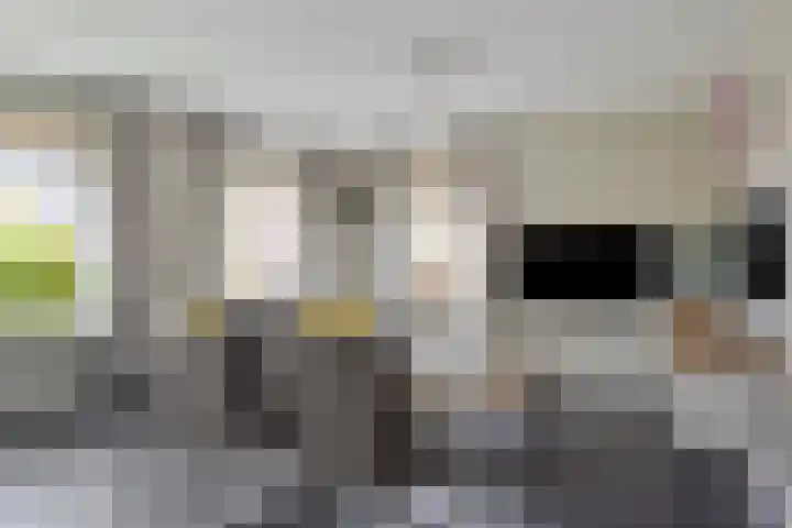 Wijnvat 12 Dronten thumbnail 14