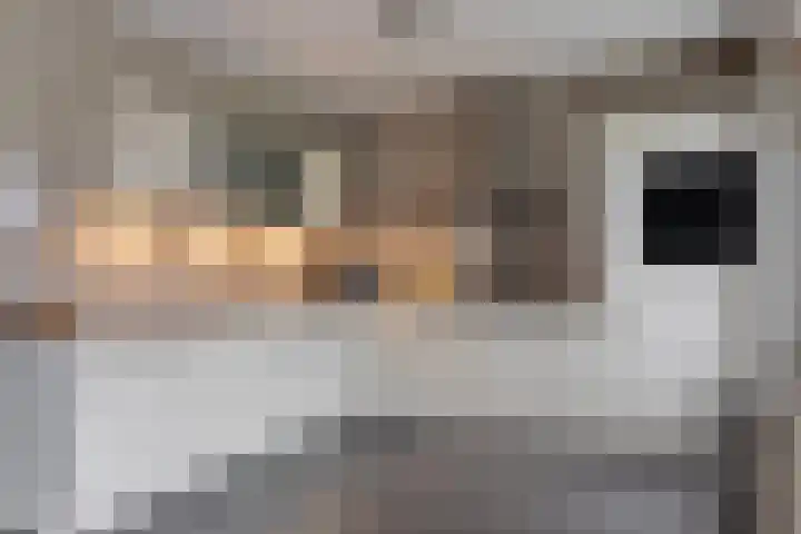 Wijnvat 12 Dronten thumbnail 21