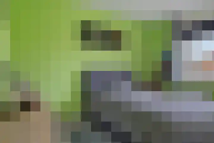 Wijnvat 12 Dronten thumbnail 31