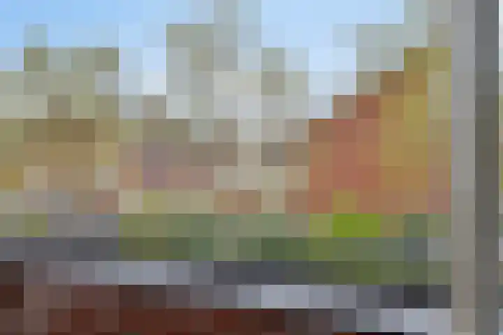 Wijnvat 12 Dronten thumbnail 34