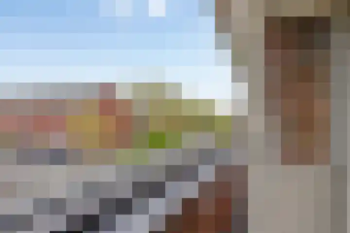 Wijnvat 12 Dronten thumbnail 35