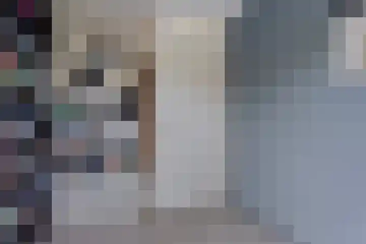 Wijnvat 12 Dronten thumbnail 37