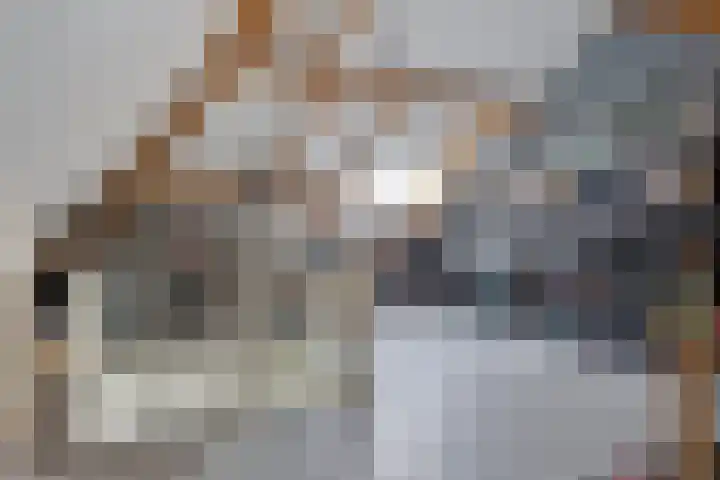 Wijnvat 12 Dronten thumbnail 38