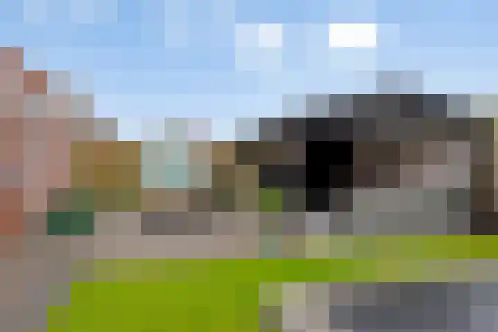 Wijnvat 12 Dronten thumbnail 44