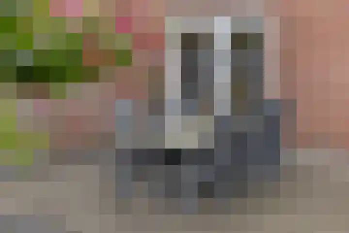 Wijnvat 12 Dronten thumbnail 49
