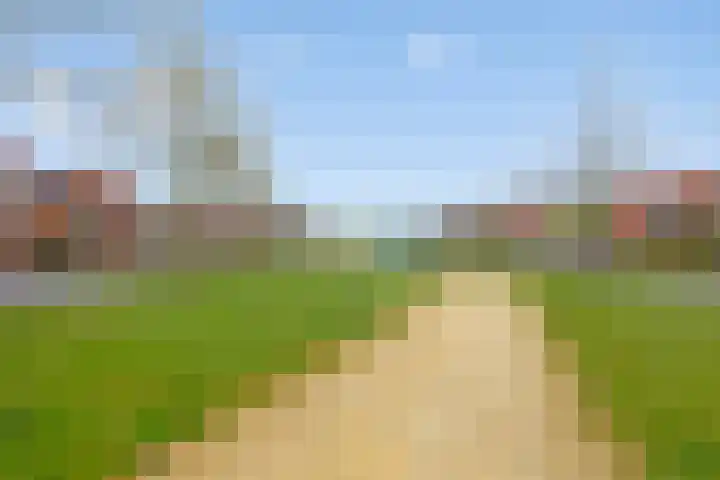 Wijnvat 12 Dronten thumbnail 52