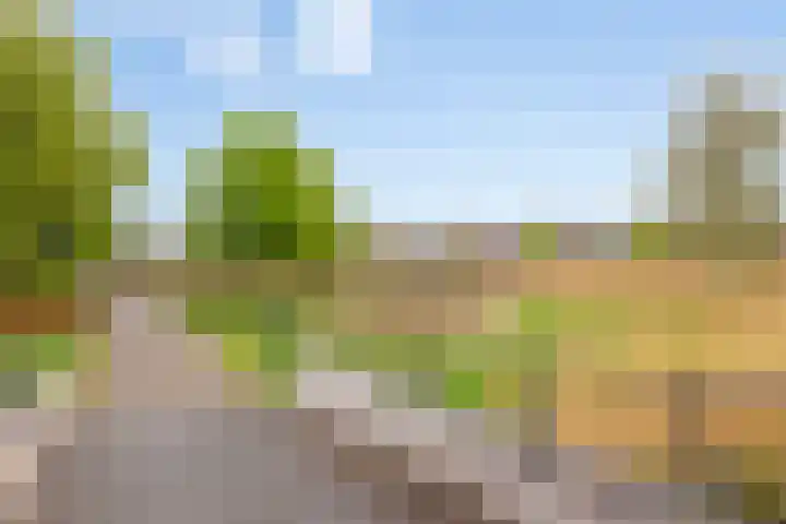 Wijnvat 12 Dronten thumbnail 53