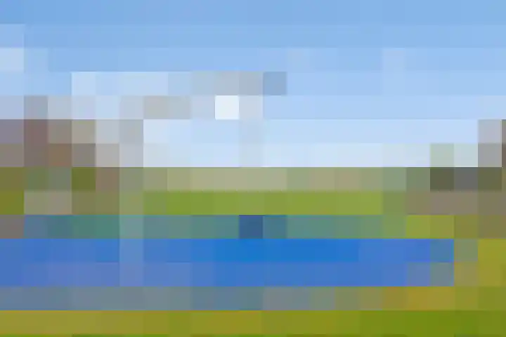 Wijnvat 12 Dronten thumbnail 54