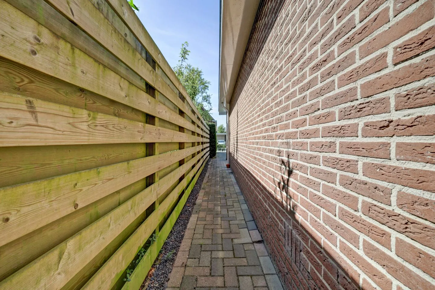 Wijnvat 4 Dronten thumbnail 65
