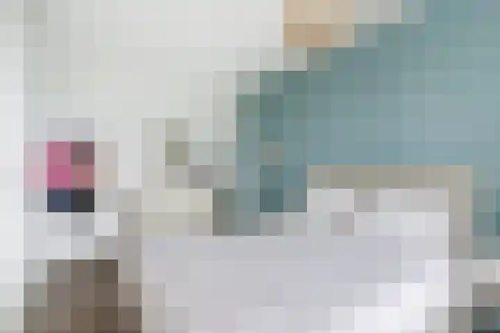 Wijnverlater 29 Dronten thumbnail 20