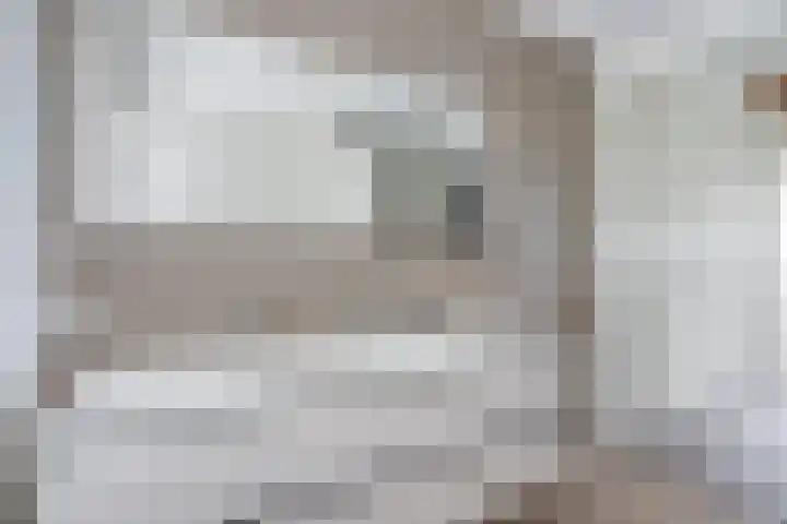 Wijnverlater 29 Dronten thumbnail 27