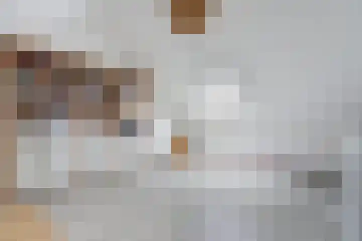 Wijnverlater 29 Dronten thumbnail 30