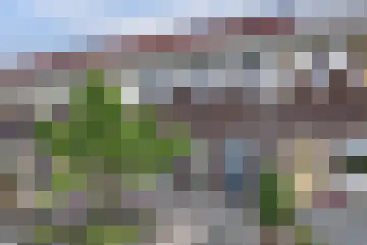 Wijnverlater 29 Dronten thumbnail 32