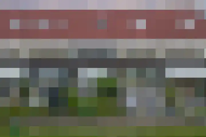 Wijnverlater 29 Dronten thumbnail 34