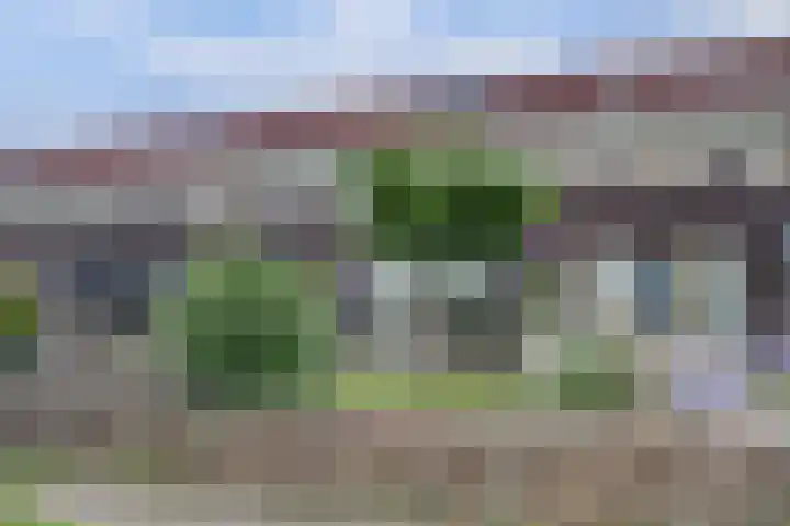 Wijnverlater 29 Dronten thumbnail 35