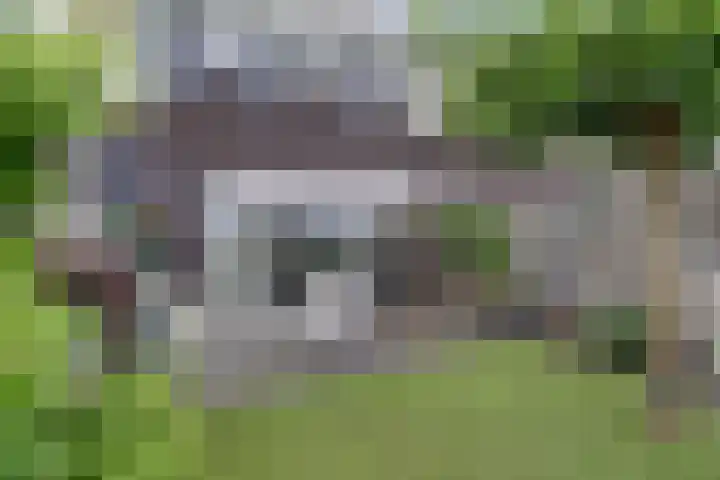 Wijnverlater 29 Dronten thumbnail 36