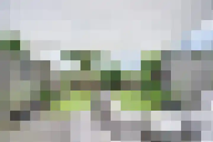 Wijnverlater 29 Dronten thumbnail 37