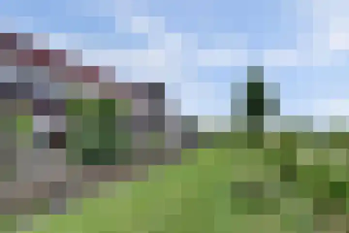 Wijnverlater 29 Dronten thumbnail 38