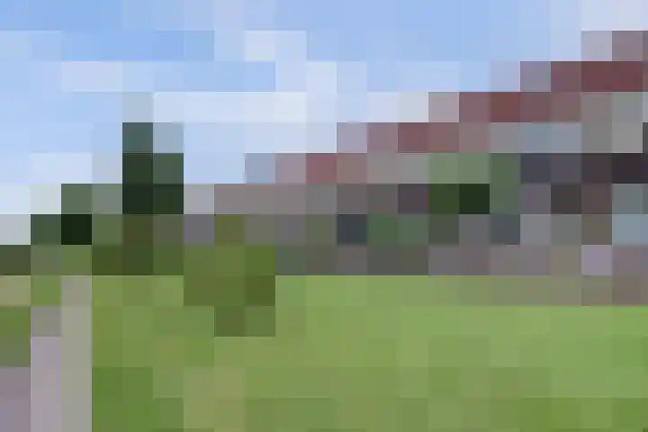 Wijnverlater 29 Dronten thumbnail 39