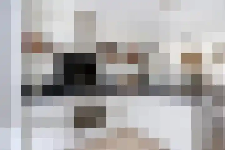 Wijnverlater 29 Dronten thumbnail 4