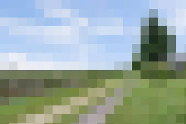 Wijnverlater 29 Dronten thumbnail 40