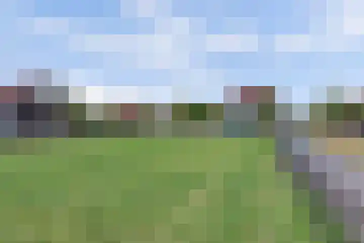 Wijnverlater 29 Dronten thumbnail 41