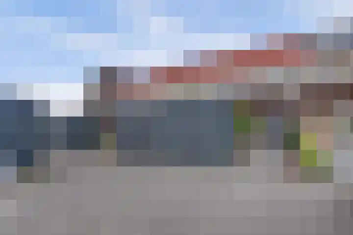Wijnverlater 29 Dronten thumbnail 42