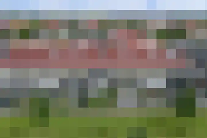Wijnverlater 29 Dronten thumbnail 44