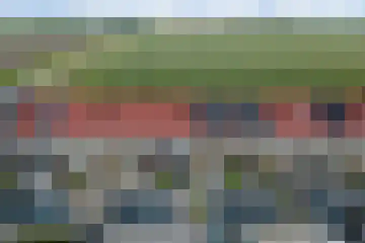 Wijnverlater 29 Dronten thumbnail 5