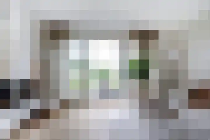 Wijnverlater 29 Dronten thumbnail 7