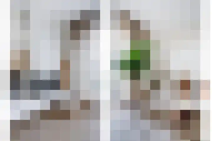 Wijnverlater 29 Dronten thumbnail 8