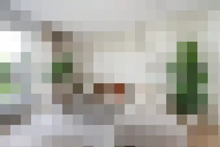 Wijnverlater 29 Dronten thumbnail 9