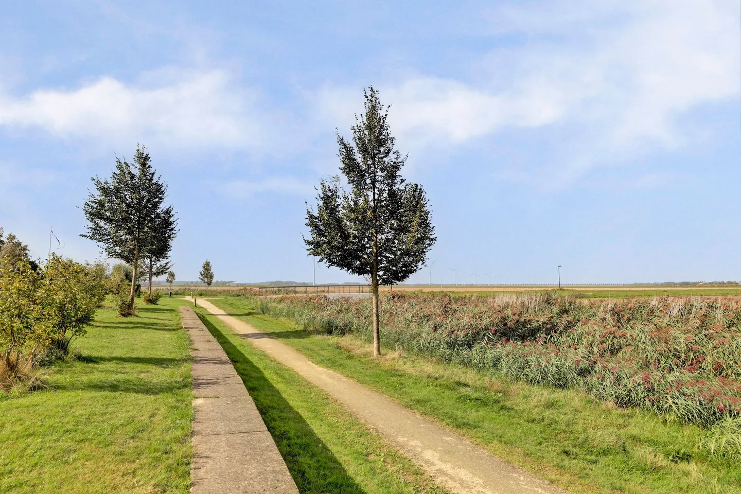Wijnverlater 33 Dronten thumbnail 46