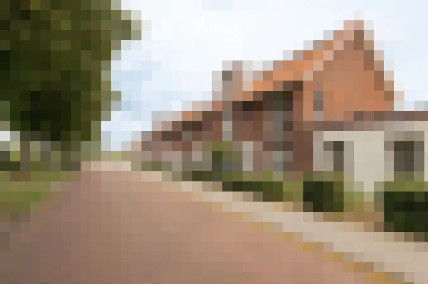 Wijsenbeekweg 12 Culemborg thumbnail 36