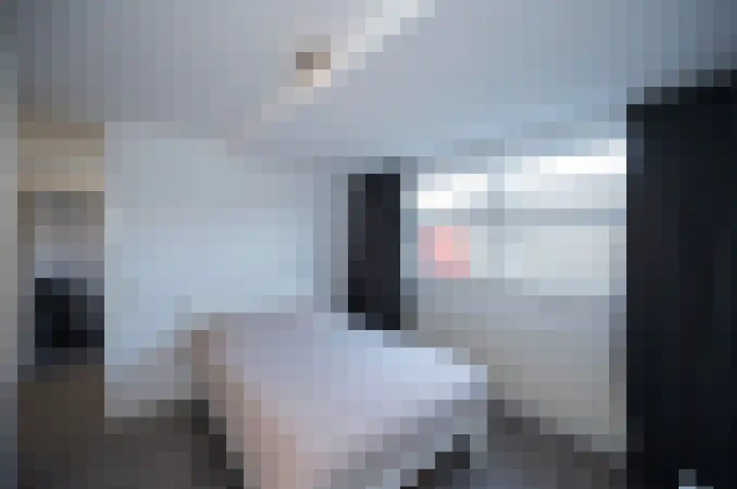 Wijsgeerbaan 14 Almere thumbnail 20