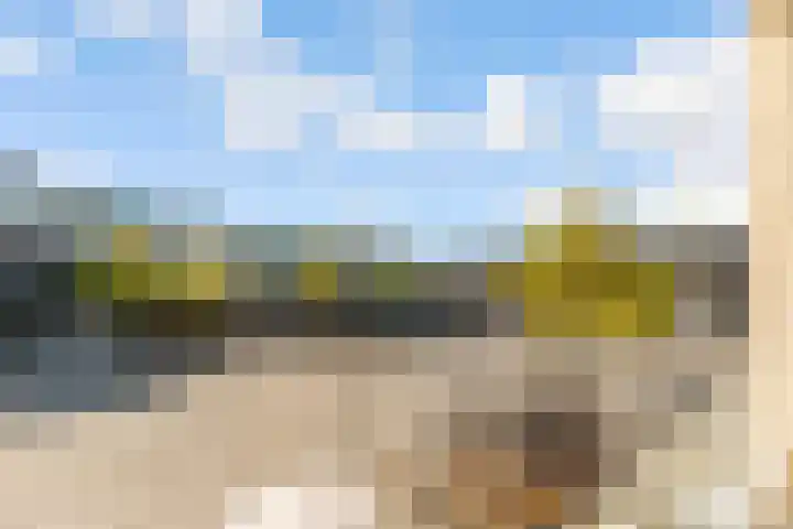 Wijsgeerbaan 16 Almere thumbnail 18