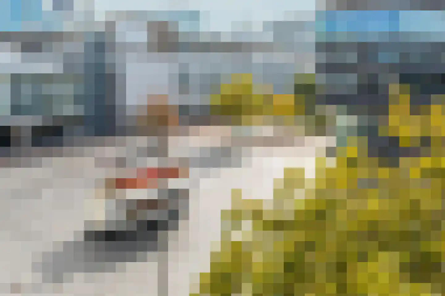 Wijsgeerbaan 66 Almere thumbnail 18