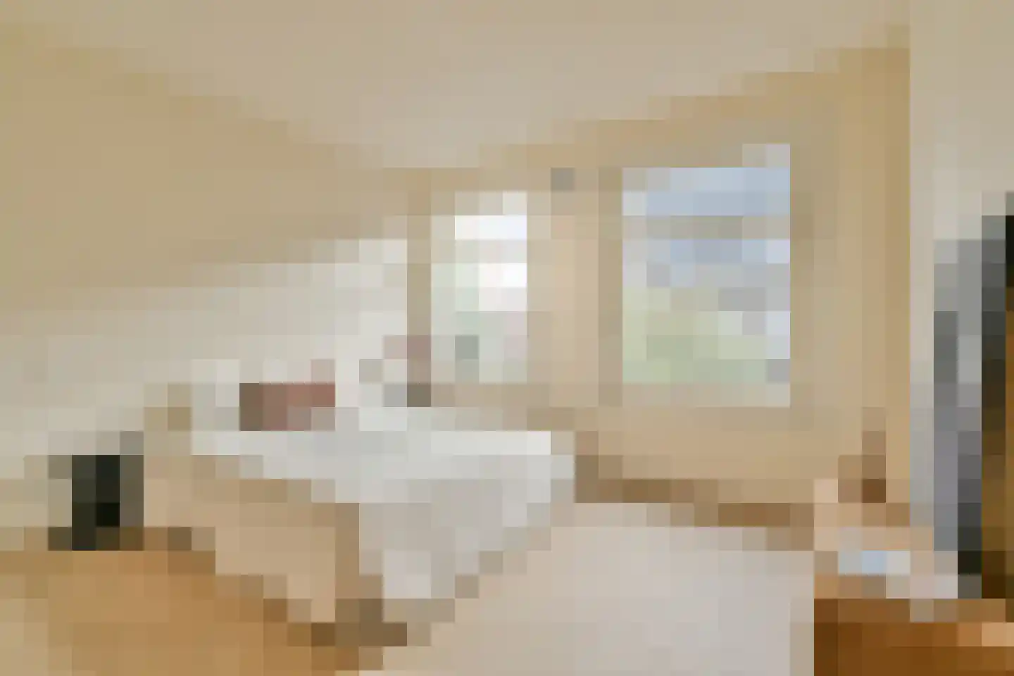 Wijsmullerstraat 12 2 Amsterdam thumbnail 17