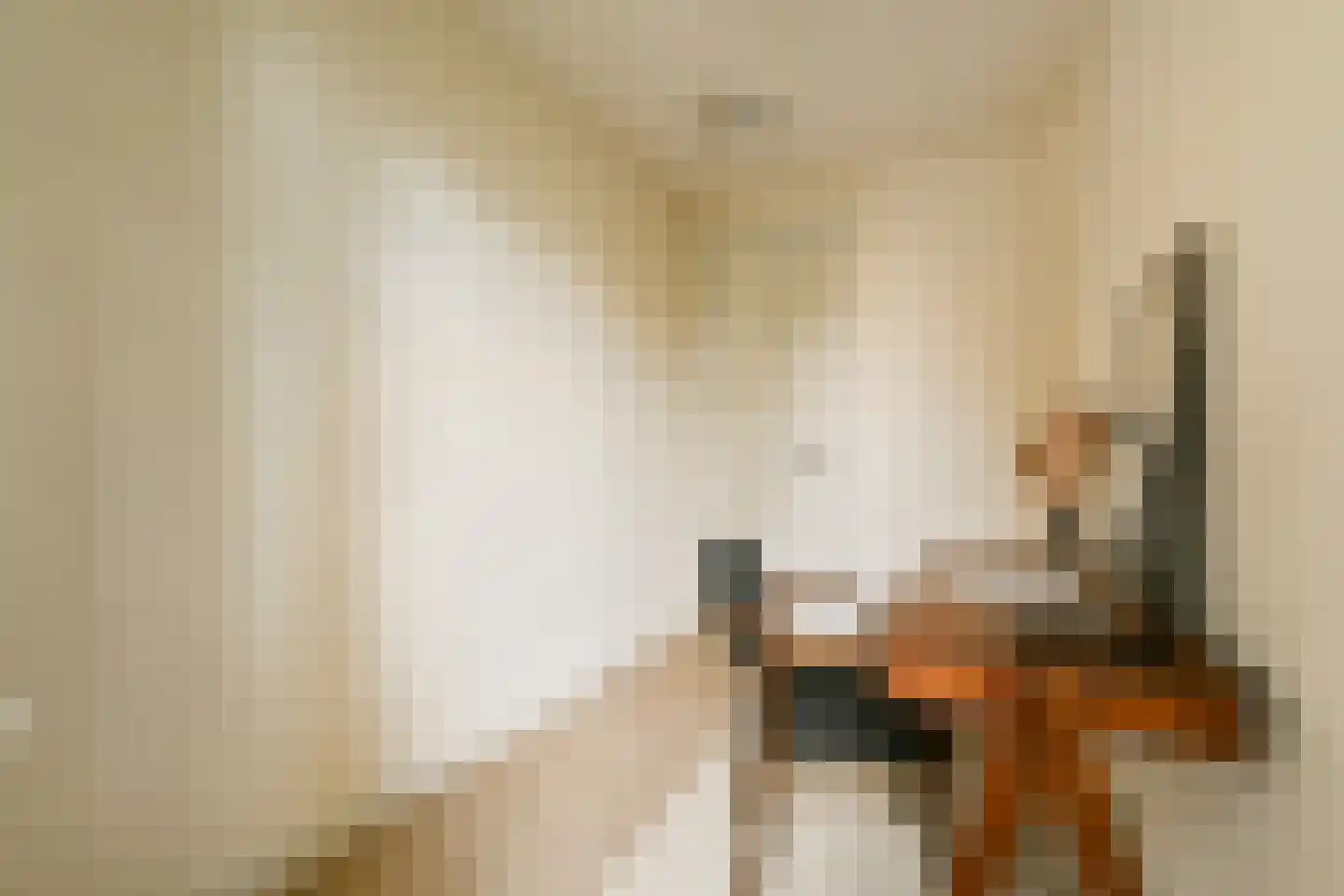 Wijsmullerstraat 12 2 Amsterdam thumbnail 23