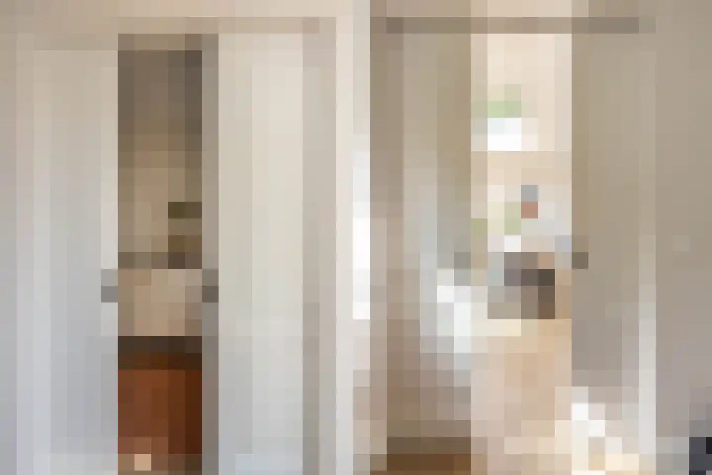 Wijsmullerstraat 22 1 Amsterdam thumbnail 17