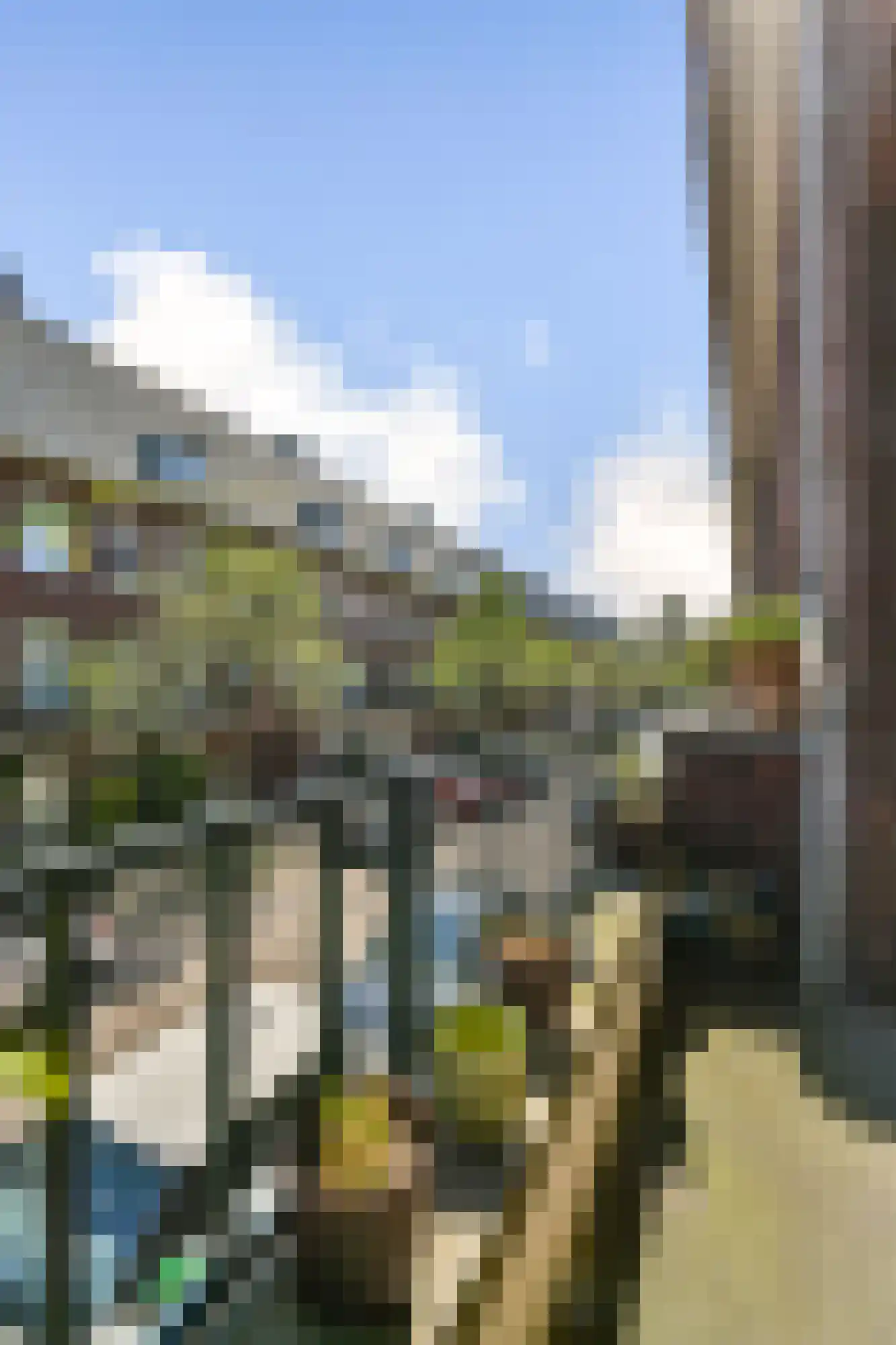 Wijsmullerstraat 22 1 Amsterdam thumbnail 19