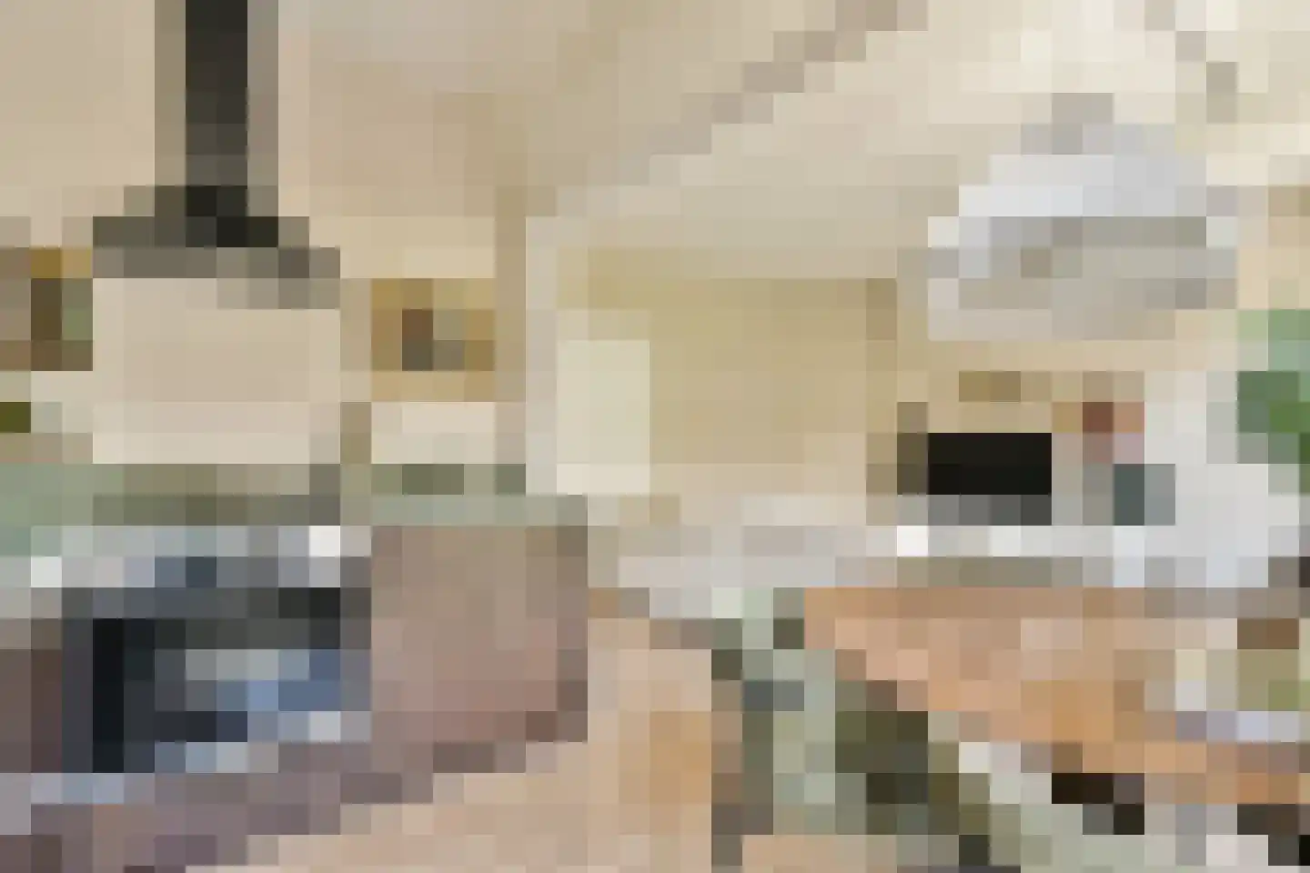 Wijsmullerstraat 22 1 Amsterdam thumbnail 5
