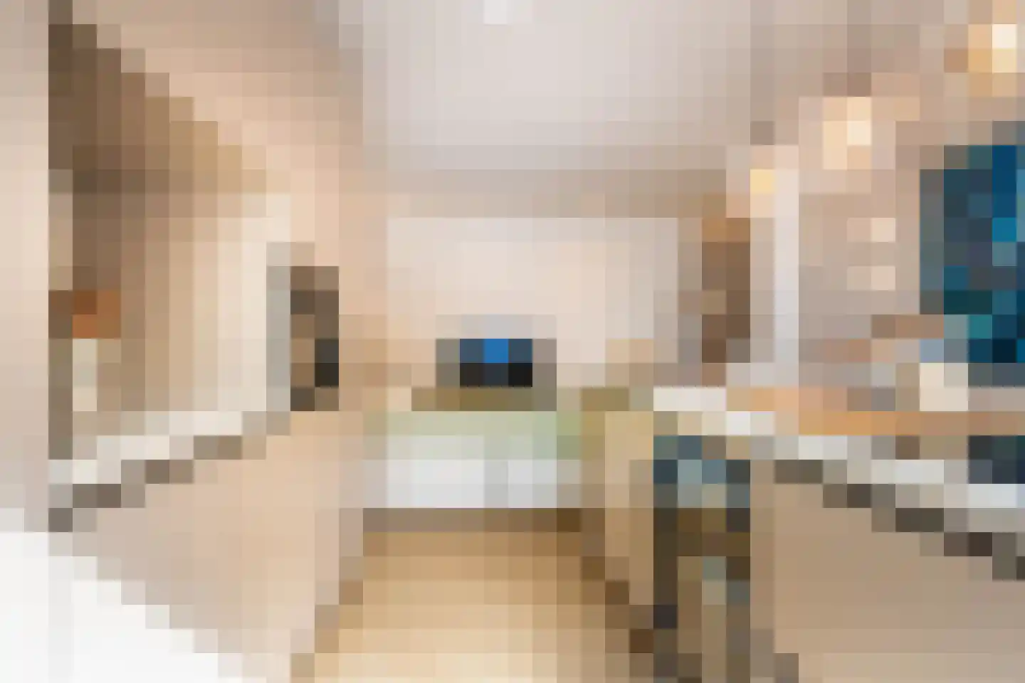 Wijsmullerstraat 22 1 Amsterdam thumbnail 7