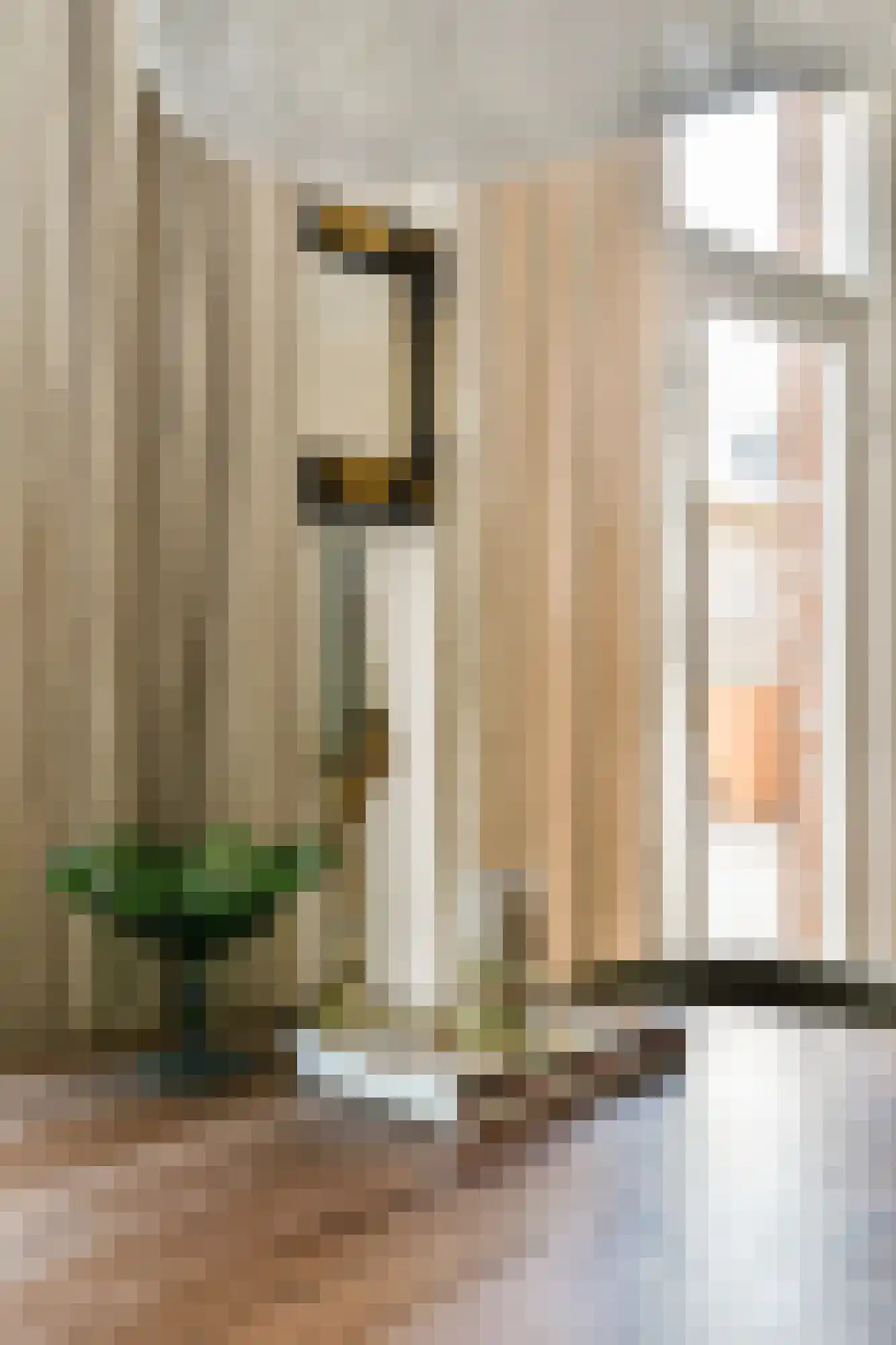 Wijsmullerstraat 22 1 Amsterdam thumbnail 8